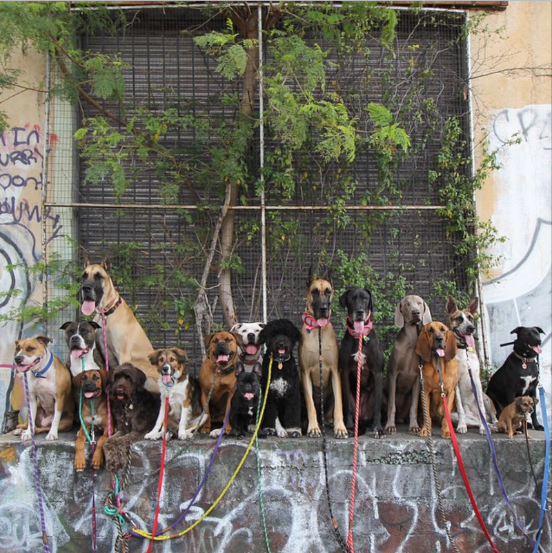 Illustration for article titled Yes, this photo is the best